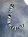 White Tiger Tail