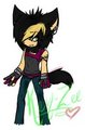 *:.Ken-Zee the Wolf.:*