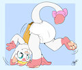 Summersault Kitty -By NazzNikoNanuke-