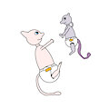 Little Mewtwo.