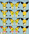 Donnie Pichu (Pokemonall4one) NEW Model Sheet
