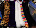 Cat Tail Batch