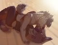 nom by KodaJD
