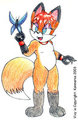 Vixy