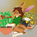 Jerboa Gardener