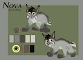 Nova