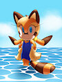 Marine The Raccoon
