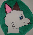 Another cat