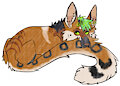 shep nom