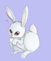 An old work, a bunny