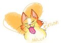 cat friend by nullifications