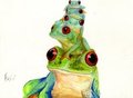 Tree frog family
