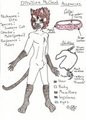 Ref Sheet - Ditsiline McCloud by Ditsiline