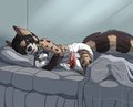 Sleepy civet by Duffy