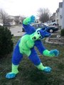 Blue and Green Husky by ratcoffee