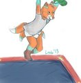 Trampoline! By: Lizab