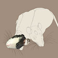 Rat Boys by ZeebyJeebee