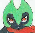 #048 Robinquill