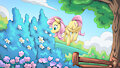 Fluttershy in Air