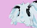 Serious Bunny by ZeebyJeebee