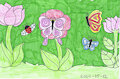 Flowers and Insects