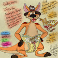 Nappy Roo Diaper Ad