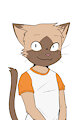 Enter: Riley Kitty