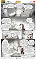 Cats n Cameras Strip 700 - Lets stop and think