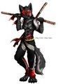 :Ninja Master: by Cittyy