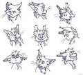 Faces!