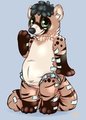 Crinkily civet