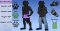 Reference Sheet of Kia Moonfang (Clean)
