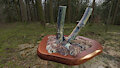 Stump 3d scan!