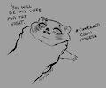 concerned coon noises
