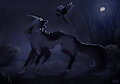 A demon in the dark [notostapk]