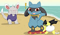 Riolu pantsing by pichu90