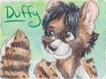 Duffy badge