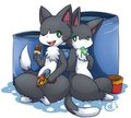Water War Fastival