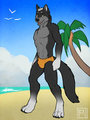 Beach Tex
