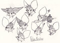 Fennec Faces