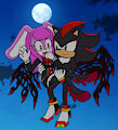 Flight in the night sky　ShadowxTanya by yrk