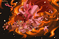 [CM] Fiery Leap by Malachyte