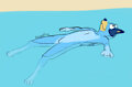 Bluey Sketches 6 19 24 by BananaFops