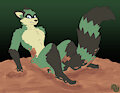 Messy Maypul