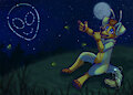 Look at the Stars!