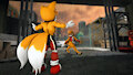 Two foxes