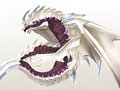 dragon by kosian