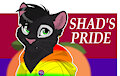 IM SO PROUD OVER MY GAY AFFILIATE ANNIVERSARY! (live)