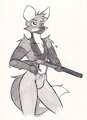 Burgess Rifle