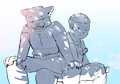 Human x Furry